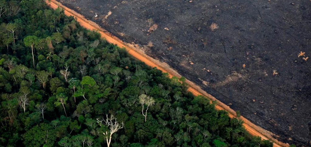 Imagem de uma área amazônica, com metade em cinzas devido o desmatamento e a outra metade com árvores.